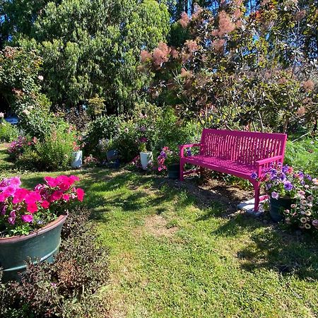 Korimako'S Nest Garden Studio Carterton 外观 照片