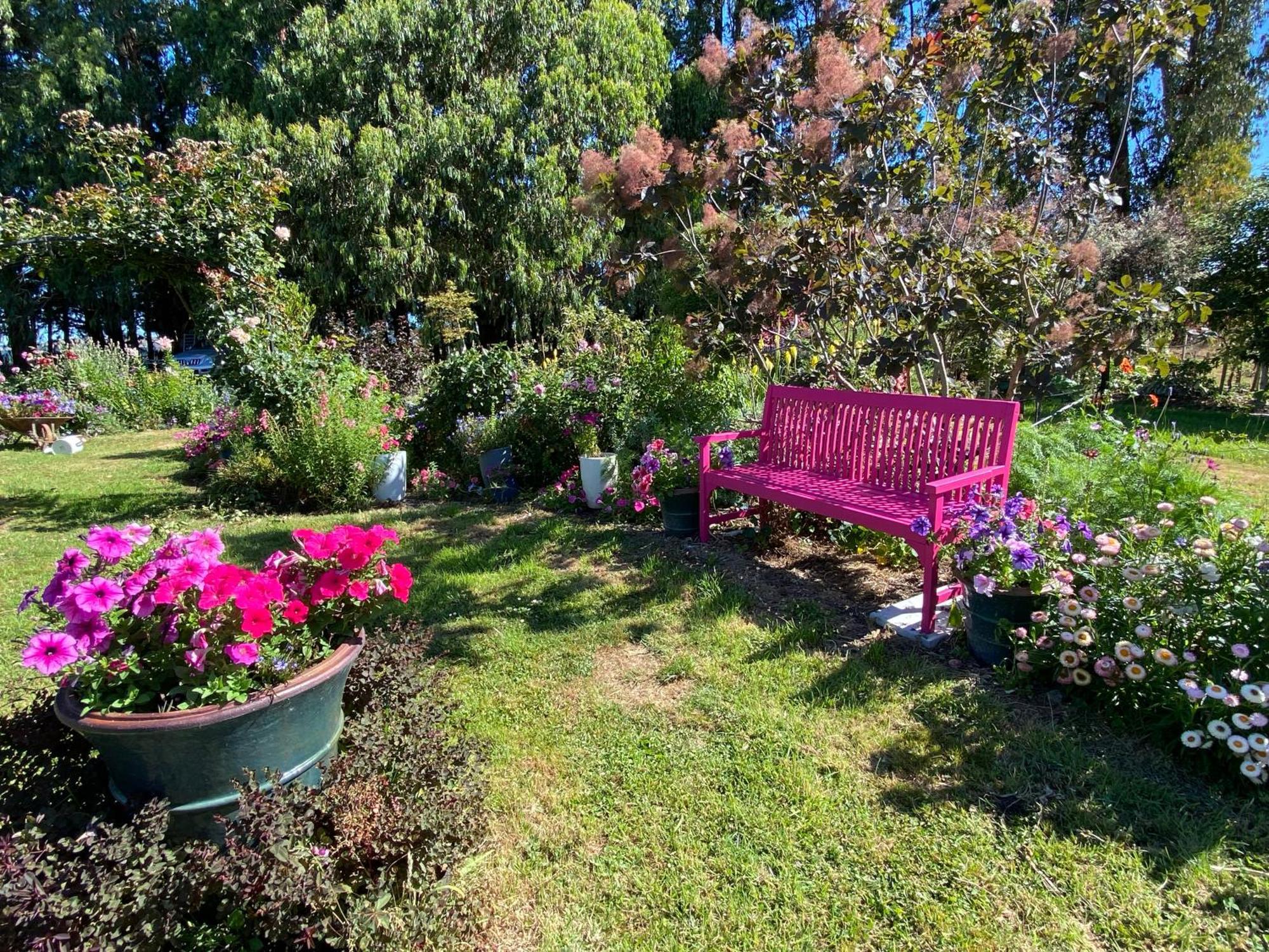 Korimako'S Nest Garden Studio Carterton 外观 照片